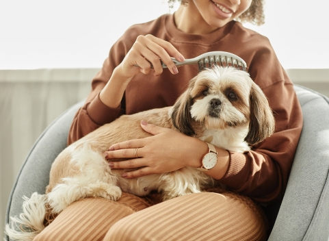 Pet